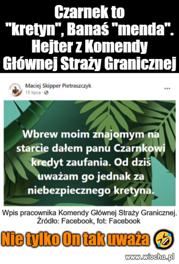Ja jeż tak twierdzę 
