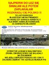 Polska w ruinie? Już wszystko ukradli?