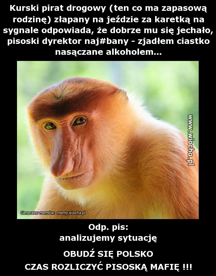 Kurski pirat drogowy (ten co ma zapasową rodzinę)
