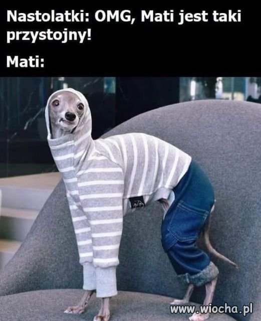 Dokładnie tak to widzę