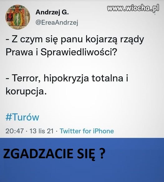Trafione w punkt