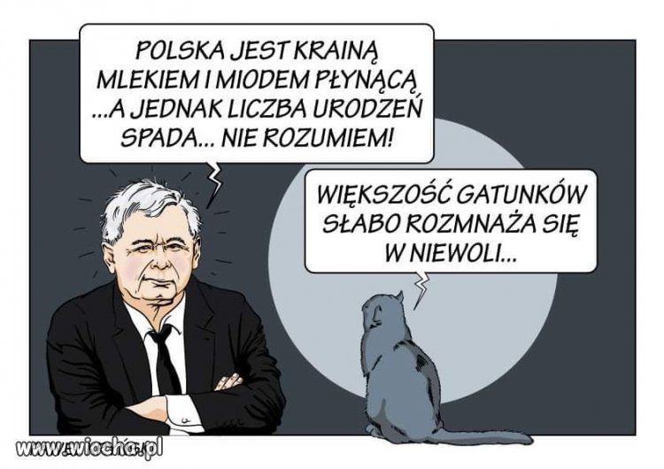 Tylko to tu zostawię