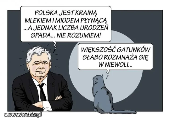 Tylko to tu zostawię