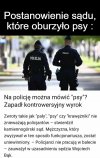 Ciężko pracowali na autorytet 