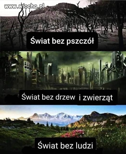 Wszyscy to wiedzą