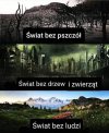 Wszyscy to wiedzą