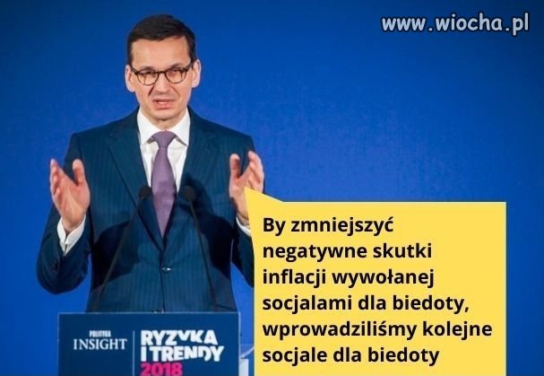 Elektorat