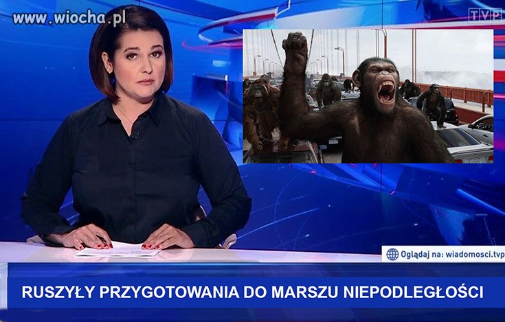 TVPIS przekazało najnowsze informacje