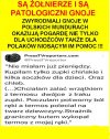  Żołnierz polski,to już nie brzmi dumnie?