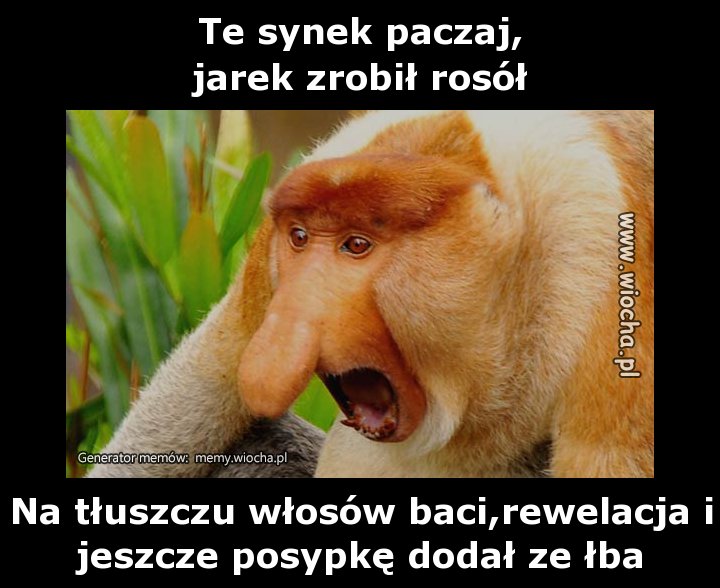 Te synek paczaj,
jarek zrobił rosół
