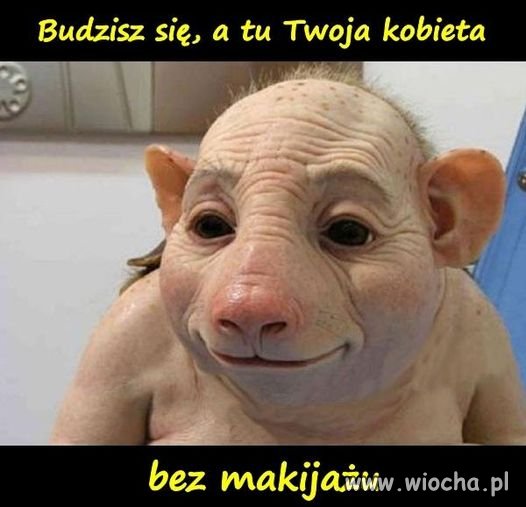 Albo na basenie