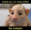 Albo na basenie