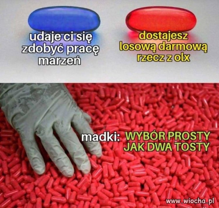 Madka Polka
