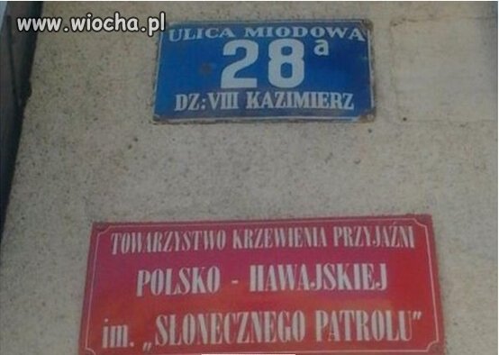 Ktoś na prawdę lubi Pamelę Anderson