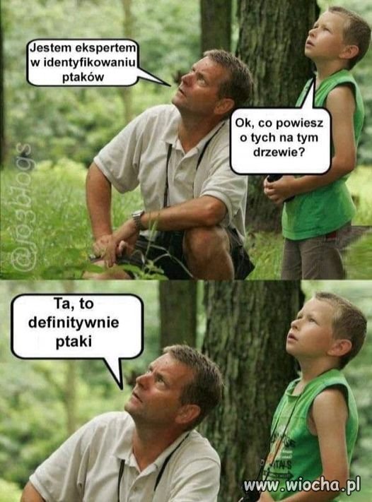 Taki fachowiec