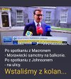 Jak pies pod drzwiami 