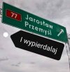 W Kraju Kwitnącej...