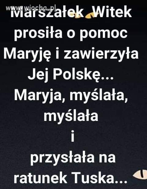Coś w tym jest