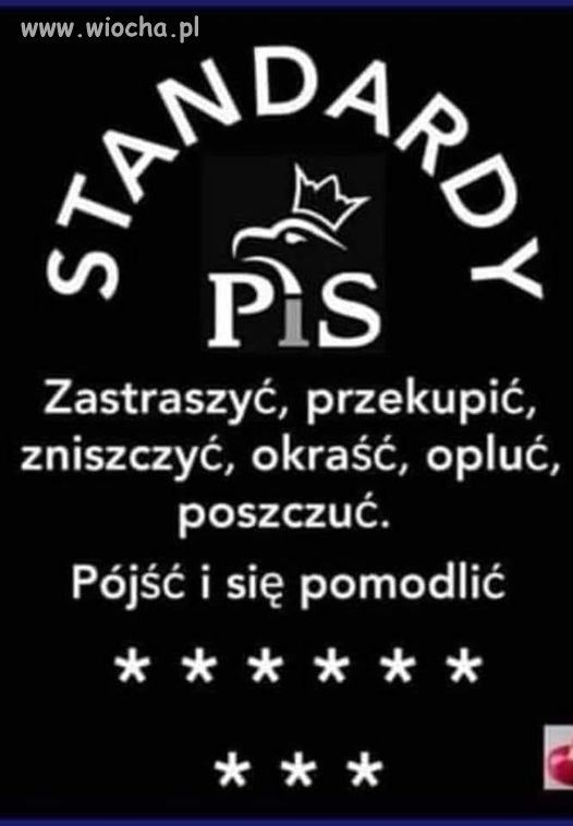 Standardy i hasło przewodnie pisowców