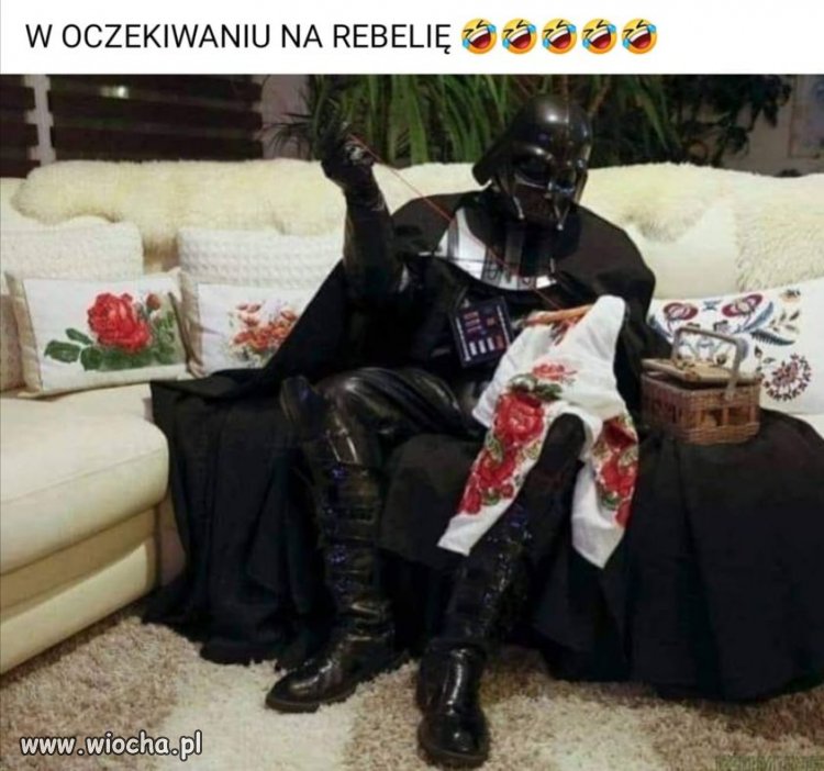 Trzeba się czymś zająć 