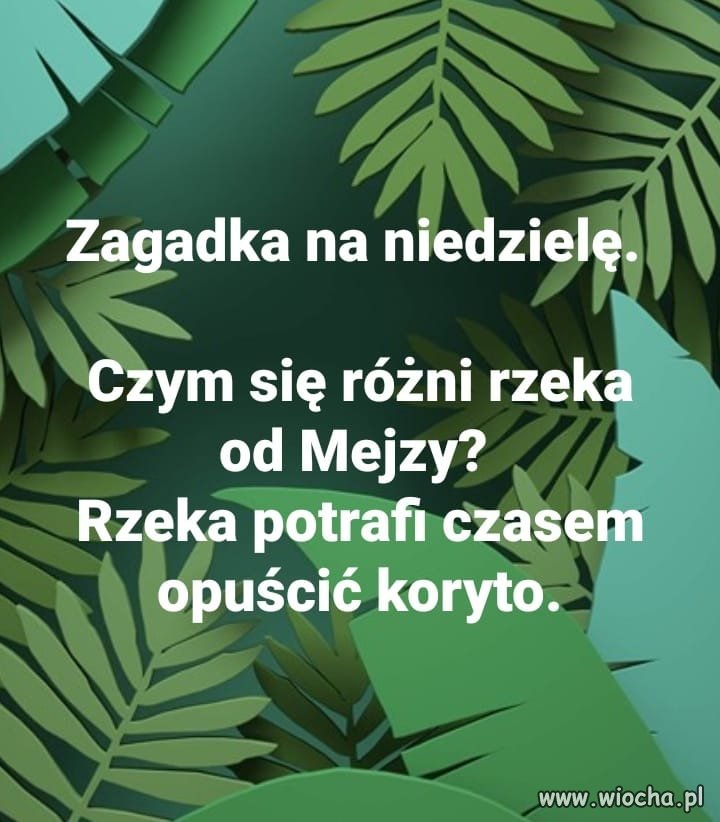 Zagadka 