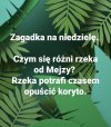 Zagadka 