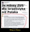  Doić polskie  barany !!! 