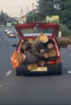 Samochód do zadań specjalnych 
