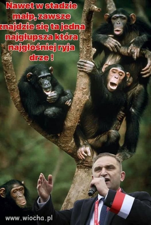 Wszyscy to wiedzą