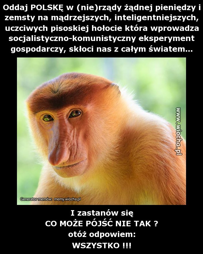 Oddaj POLSKĘ w (nie)rządy żądnej pieniędzy i