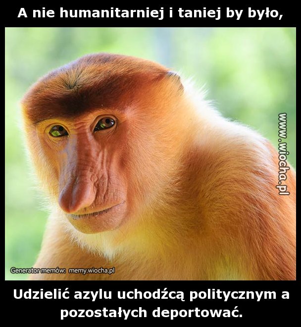 A nie humanitarniej i taniej by było,