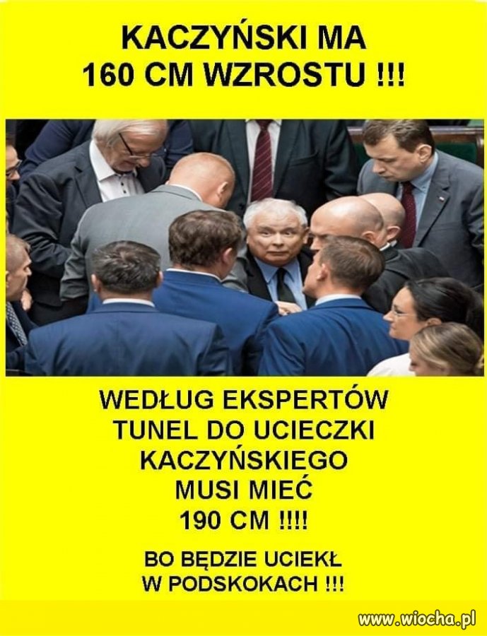 Wnioski z analizy próbnej ewakuacji pisiorów ...