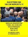 Wnioski z analizy próbnej ewakuacji pisiorów ...