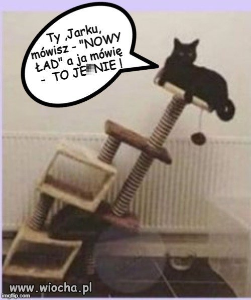 Nowy Ład oczami