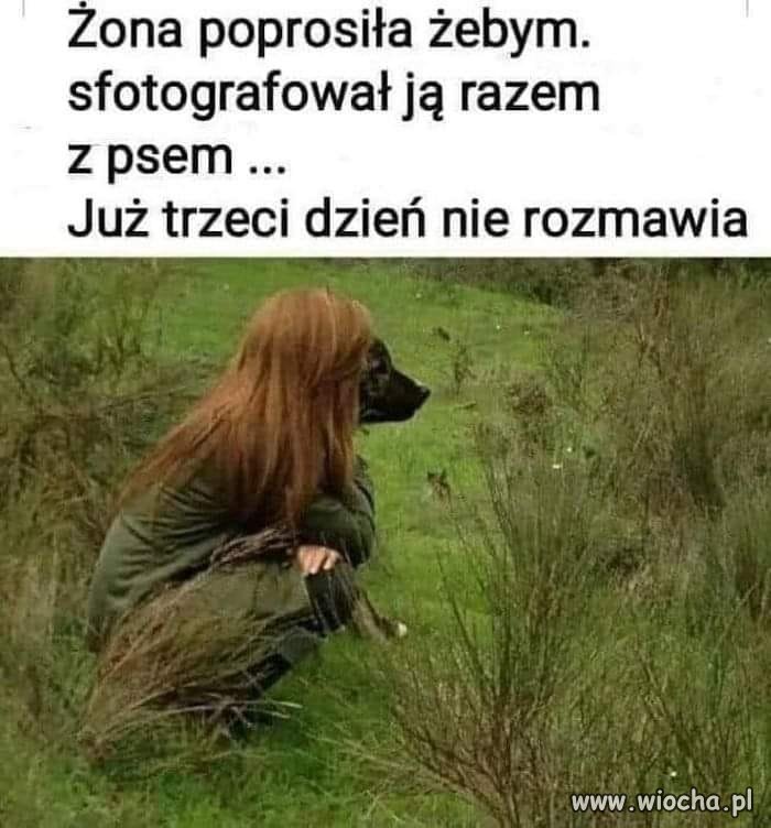 Zdjęcie 
