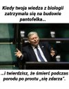 Po prostu idiotyzm.