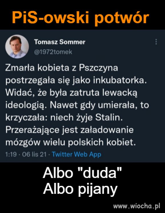 PiS-owski potwór 