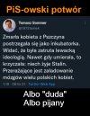 PiS-owski potwór 