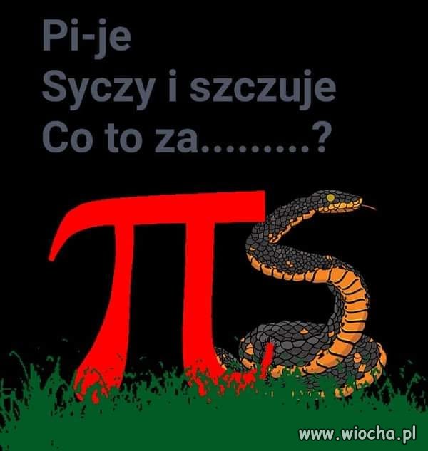 Zagadka ...