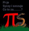 Zagadka ...