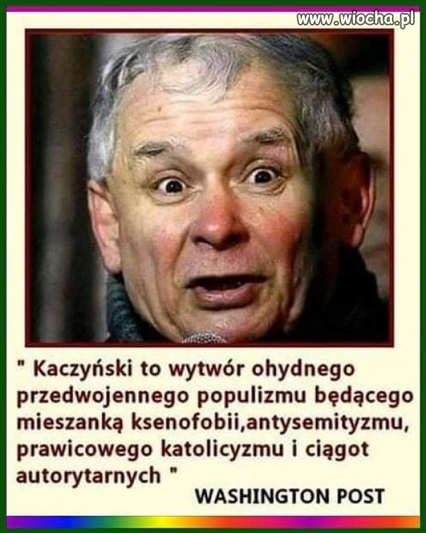 Trafna diagnoza ...