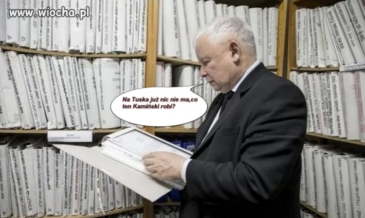 Naczelny hakowy