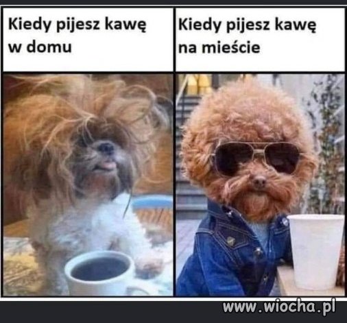 Na mieście trzeba wyglądać 