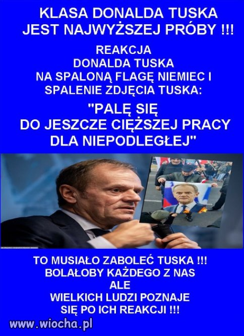Donald Tusk to polityk z najwyższej półki. Klasa!