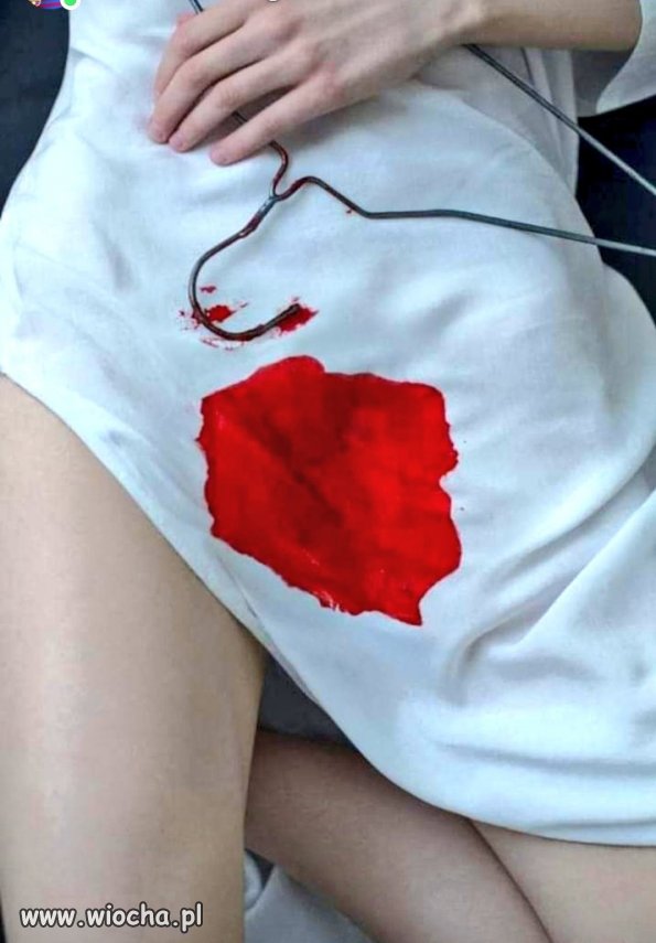 Polska jest kobietą, 