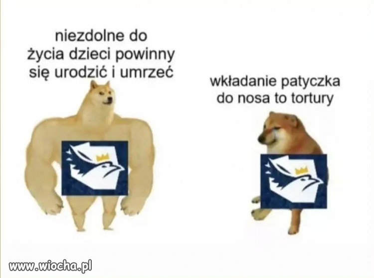 Kona i ordo luris lubi to