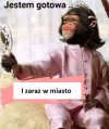 Identycznie to widzę