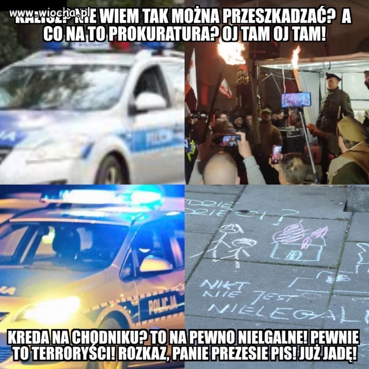 Policja w akcji