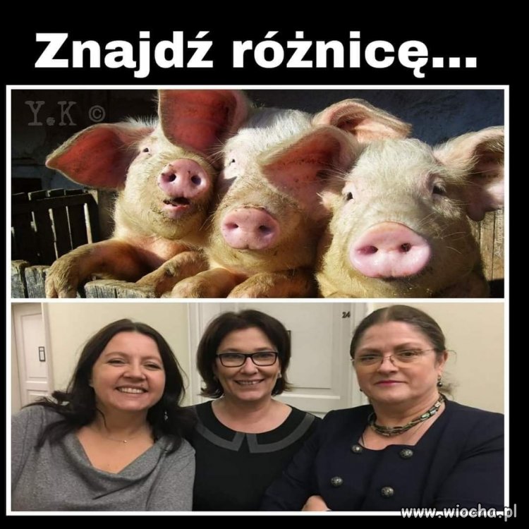 Spróbujcie ...