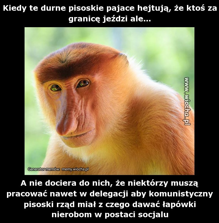 Kiedy te durne pisoskie pajace hejtują, że ktoś za